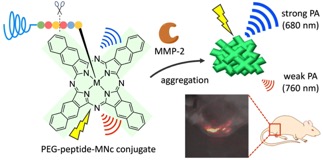 2021BioconjugateChem_Figures_bc-2021-00266m_TOC