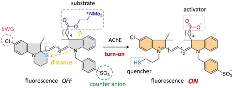 2021ChemCommun_AChETOC figure_1-1