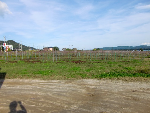 Loading Image